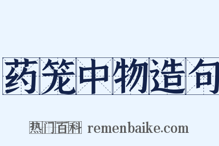 药笼中物造句是什么意思的图片